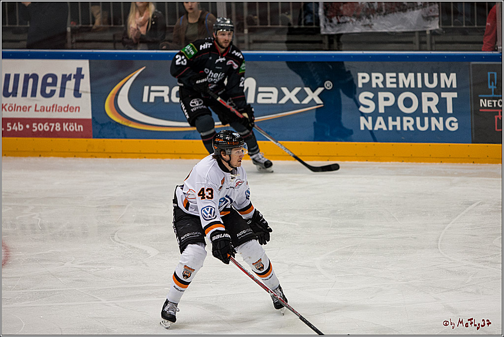 Koelner Haie - Grizzlys Wolfsburg, 16.10.2016, 16.10.2016